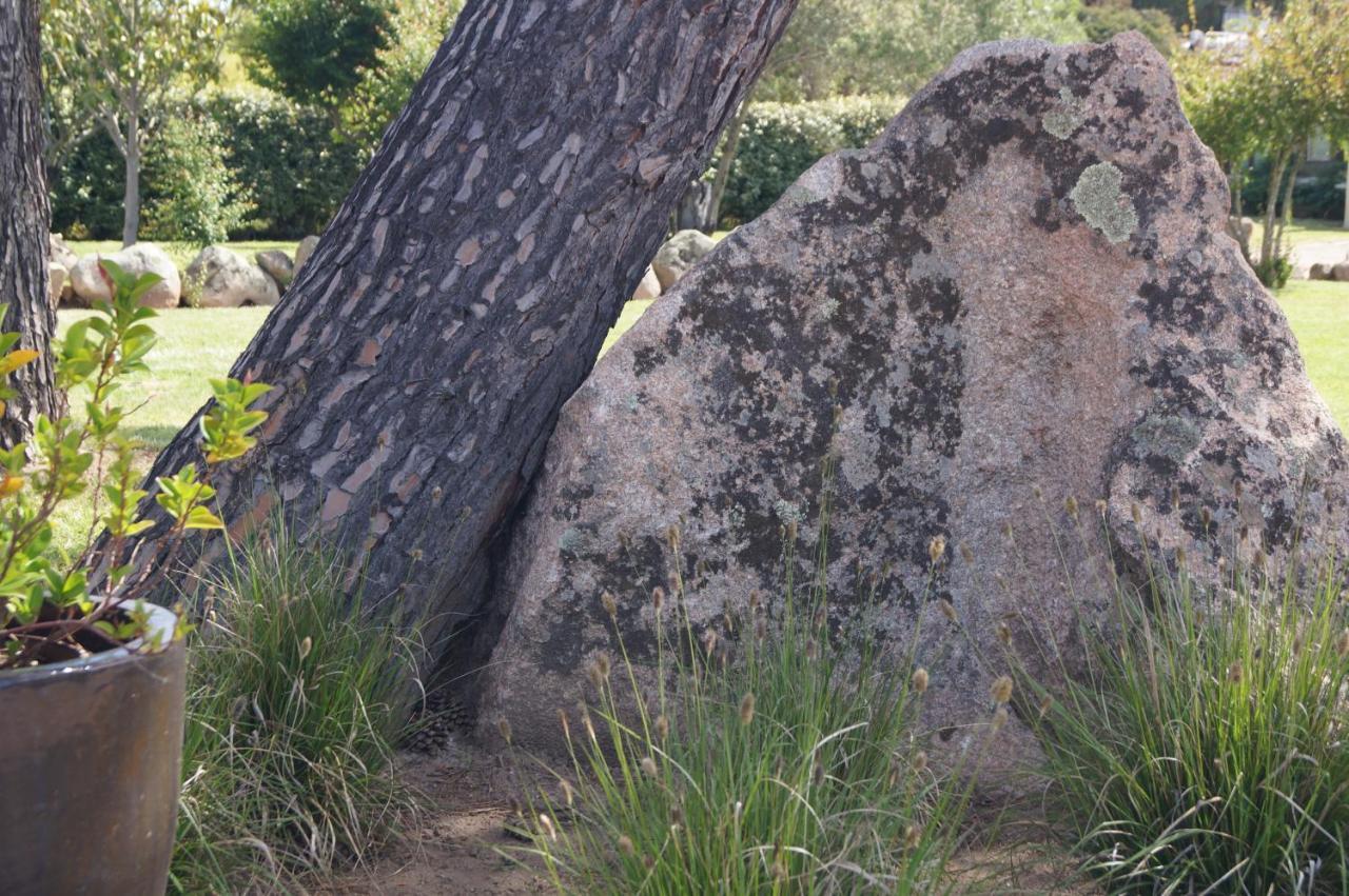 Les Jardins De Santa Giulia - Charmante Chambre D'Hote Porto Vecchio Esterno foto